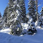 Aparthotel Loiplstüberl 4*
